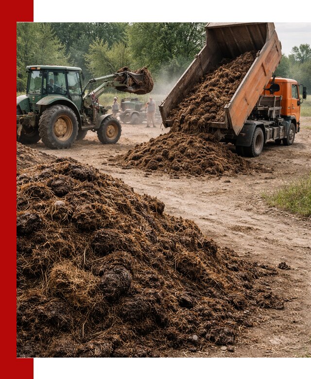 Доставка навоза самосвалами в Изобильном для сельхозпотребностей
